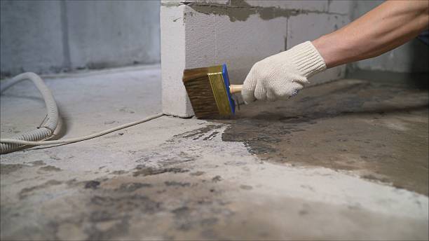 24/7 Emergency Wet Basement Repair experts in Palestine, OH